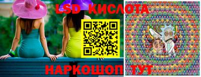 PSILOCYBIN Донской
