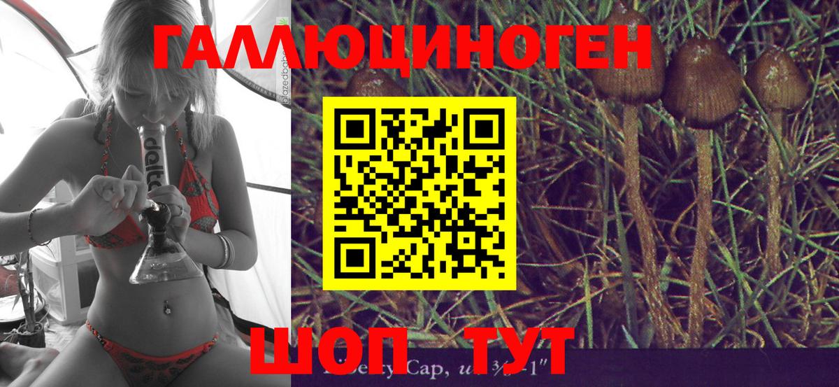 Псилоцибиновые грибы Psilocybe  Лесосибирск  Галлюциногенные грибы ЛСД 