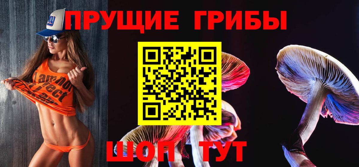 Галлюциногенные грибы Magic Shrooms Лесосибирск